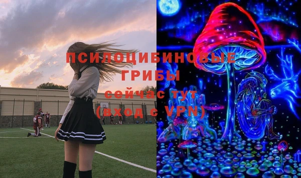 твердый Алексеевка