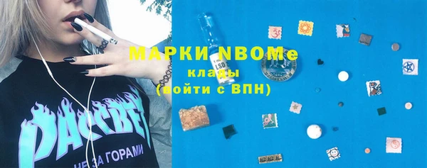 прущие грибы Алзамай