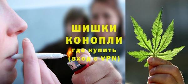 прущие грибы Алзамай