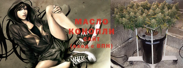 прущие грибы Алзамай