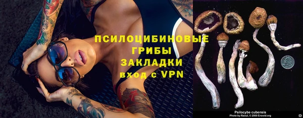 прущие грибы Алзамай