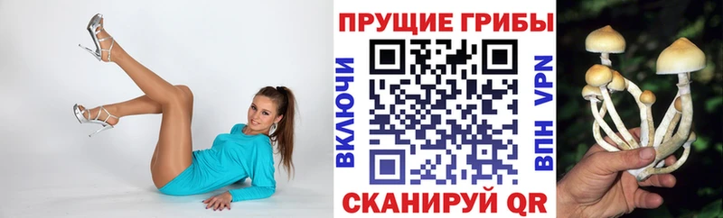 Псилоцибиновые грибы ЛСД  Красноуральск 